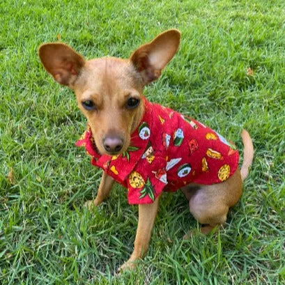 Hawaiian Soul Food Print Pet's Shirt |  Red