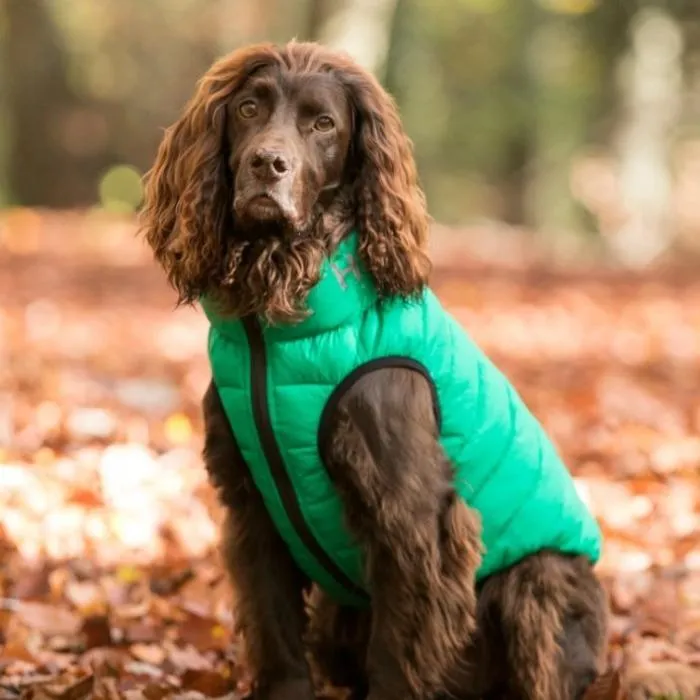 Hugo & Hudson - Reversible Puffer Jacket - Dark Green/Grey