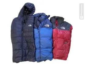 The North Face Puffer - 700 series